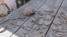 Kopali kanalizáciu, v hline našli viacero ľudských kostí