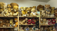 Plyšový medvedík je tu viac ako 120 rokov. Katarína vlastní jednu z najväčších zbierok na Slovensku