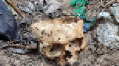 Komu patrila a išlo o zločin? Z nájdenej lebky dokážu vyčítať aj pohlavie či etnickú príslušnosť