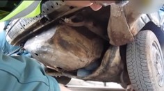 Polícia rozbila prevádzačský gang. Neuveríte, kde skrývali migrantov