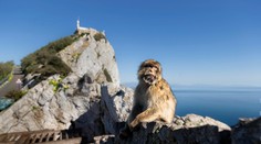 Španielsko to s blokovaním brexitu myslí vážne, problémom je Gibraltár