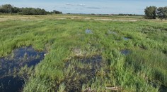 Pavelské slanisko: Miesto, kde sa stretáva história s krásou prírody