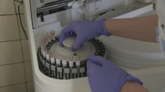 Slovenskí odborníci skúmali, ako vakcíny zaúčinkovali a akú imunitu si organizmus vytvoril. Tu sú čísla