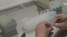 Aj na Slovensku už máme dva nové subvarianty omikronu. Dokážu obísť imunitu po očkovaní aj po prekonaní