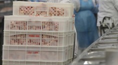 V stravovacej prevádzke v trenčianskom kraji našli brazílske mäso od podozrivého výrobcu