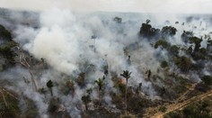 Brazília bojuje s rekordným počtom požiarov. Sao Paulo sa cez deň zahalilo do tmy