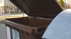 Kosti spolu so zeleninou? Zisťovali sme, prečo sa pravidlá pri triedení kuchynského odpadu líšia