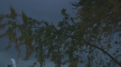 Silný vietor je už aj u nás, hasiči a záchranári sú v plnej pohotovosti