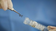 V Česku zaznamenali tretí prípad nakazenia vírusom Zika