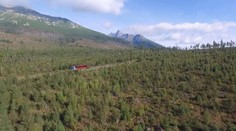S kamerou sme sa pozreli ako rastú Tatry vyše 12 rokov po kalamite