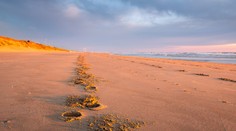 Na tejto pláži sa uskutoční obrovská rozlúčková brexit párty. Prísť môže každý