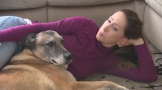 Diana zo starého psa z útulku urobila šampióna