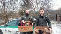 Našli ich mrznúce a pohodené na smetisku, košickí policajti zachránili 11 šteniatok
