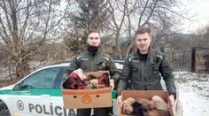 Našli ich mrznúce a pohodené na smetisku, košickí policajti zachránili 11 šteniatok