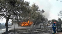 Gréci ešte nemajú vyhraté. Sužuje ich požiar borovicových lesov