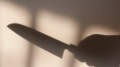 Sýrčan brutálne ubodal tehotnú sestru, dostal 12 rokov väzenia