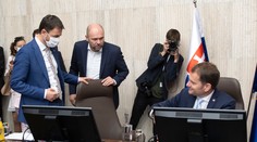 Prieskum preferencií: Najviac voličov stratili SaS a OĽaNO, výraznejšie narástla Sme rodina