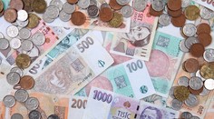 Hodnotu českej meny bude znovu určovať  ponuka a dopyt