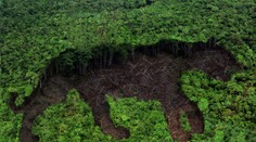 Ľudská činnosť spôsobila, že z planéty za 50 rokov zmizli dve tretiny divoko žijúcich zvierat