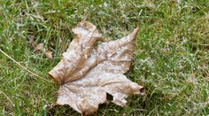 Prichádza výrazné ochladenie. Budúci týždeň by malo snežiť už aj v Bratislave