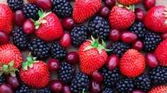 Dr. Bukovský vyvrátil ďalší mýtus. Týka sa ovocia