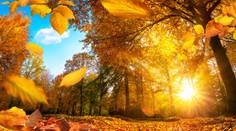 Návrat leta do Európy: Teploty na niektorých miestach vystúpia do 30 stupňov