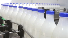 Mliekáreň dostala desaťmiliónovú pokutu: Dohodami s reťazcami ryžovali na zákazníkoch
