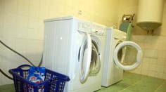 Omylom dala psíka do sušičky spolu s dekami. Tragický omyl chcela zakamuflovať