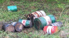 Zverstvo uprostred lesoparku: Niekto tam vyhodil barely plné toxického odpadu