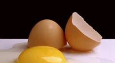 Daňováci vyšetrujú výrobcu biovajec, nitky siahajú aj na Slovensko