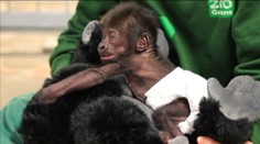 Unikátny pôrod, ktorý vám vyrazí dych