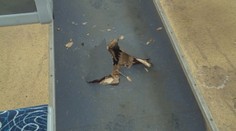 V Košičiach zasadal krízový štáb. Riešili problém s vystrelujúcimi brzdovými kotúčmi