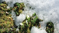 Odkladajte kožuchy, ide sa poriadne otepliť