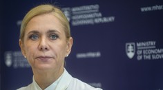 Projekt Zelená domácnostiam bude spustený v júli, potvrdila Saková