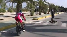 VIDEO: Sagan sa v poslednej chvíli vyhol nič netušiacej chodkyni so psom