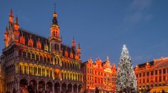 Vianočný stromček zo Slovenska bude zdobiť významnú európsku metropolu