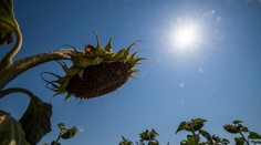 Posledné dni prázdnin budú slnečné a horúce, prekazia ich búrky