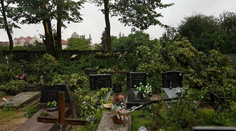 Zábery skazy po víchrici v Poľsku a Česku. Zomreli štyria ľudia