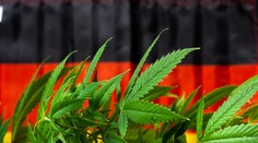 Nemecko od apríla zlegalizuje rekreačné užívanie marihuany
