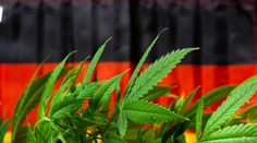 Nemecko od apríla zlegalizuje rekreačné užívanie marihuany