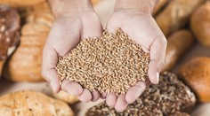 Na chudnutie bezlepkovými potravinami? Odborníčka prezradila, či táto náhrada skutočne pomôže v boji s kilami navyše