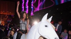 VIDEO: Panika v nočnom klube. Splašený kôň zhodil striptérku a pohrýzol niekoľko ľudí
