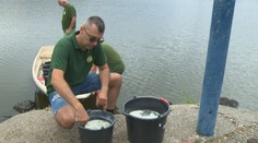 Voda v nádržiach je už taká horúca, že ryby strácajú kyslík. Rybári pri Leviciach museli zasiahnuť