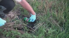 Najskôr cítili smrad, potom strach. Denne im lejú niečo na polia