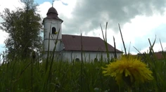 Agresívna huba napadla kostol. Išla na to od podlahy