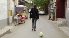 Dôvod, prečo tento muž cestuje po svete s kapustou na vôdzke, vás prekvapí!