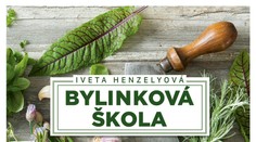 Bylinková škola. Tipy a recepty pre vaše zdravie