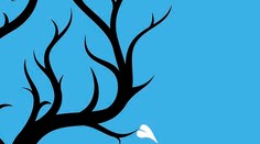 O rok mala zomrieť...