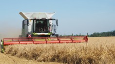 Slovenskí farmári hlásia kalamitu hlodavca. Likviduje úrodu po celej krajine