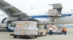 Nový iPhone 6 je na ceste k zákazníkom: Náklad váži 93 ton!